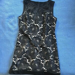 Elegant Black Floral Lace Dress White House Black Market 10